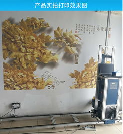 户外广告墙喷绘机墙绘机墙体打图设备3d墙体彩绘机大型壁画打印