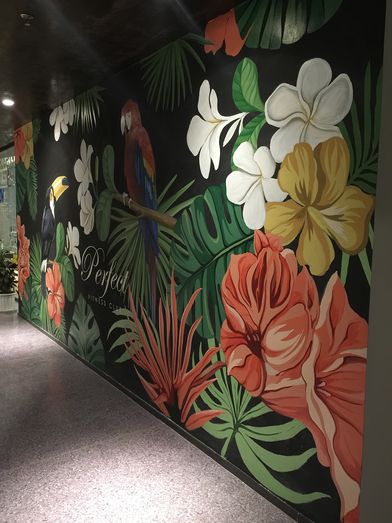 墙绘 艺术与空间的完美融合